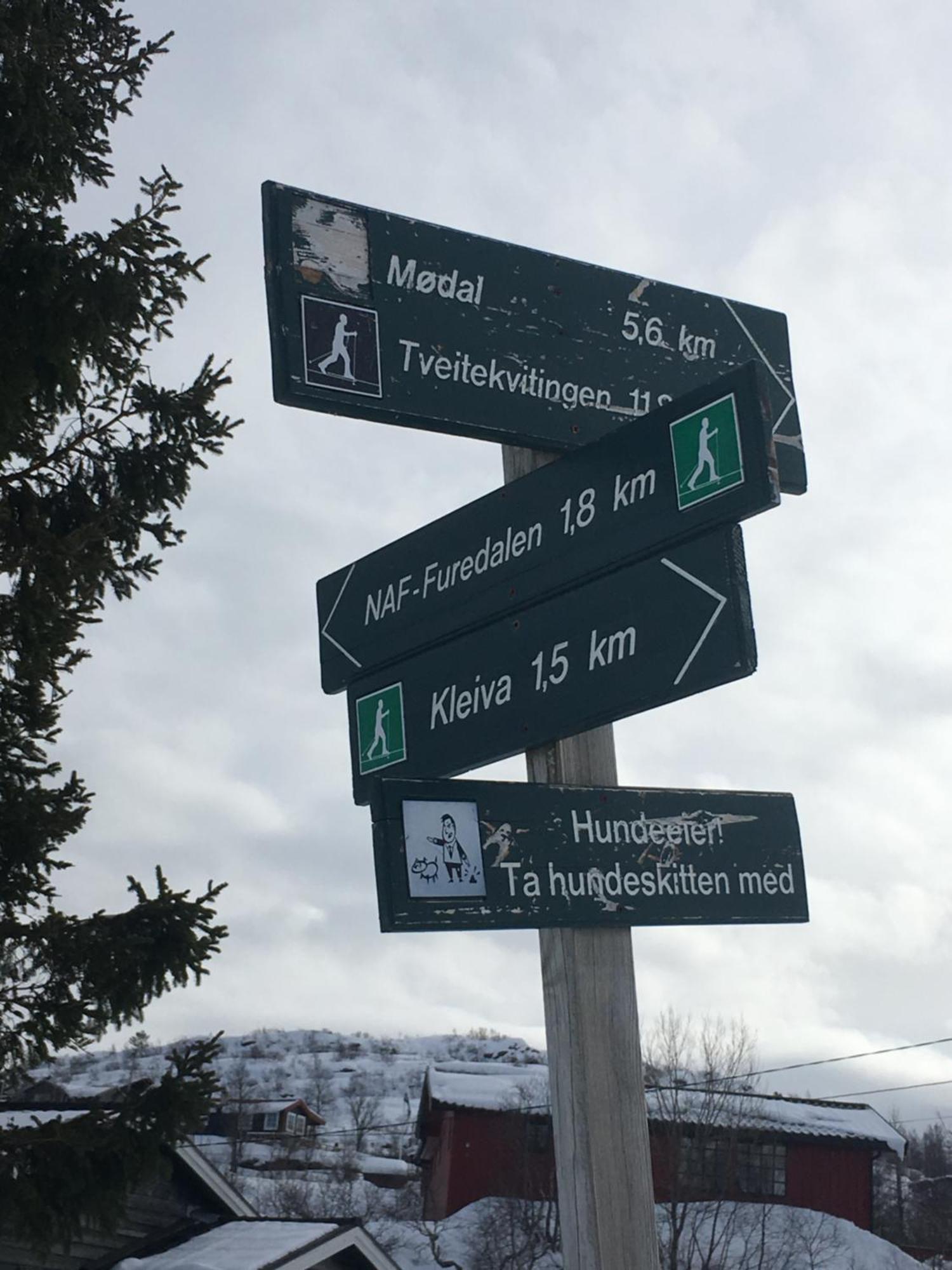 Kvamskogen & Hardanger Holliday Homes ノールハイムスン エクステリア 写真