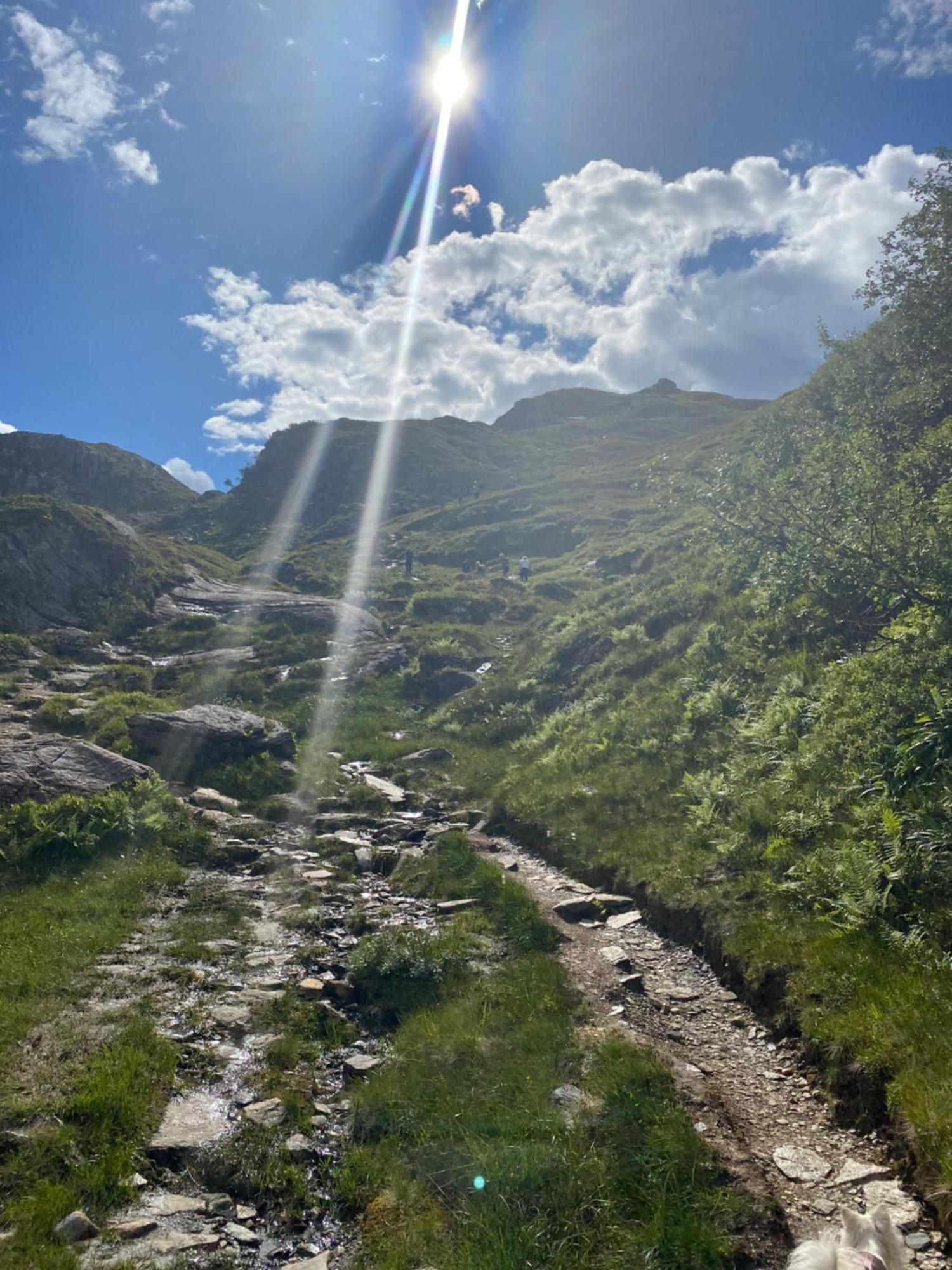 Kvamskogen & Hardanger Holliday Homes ノールハイムスン エクステリア 写真